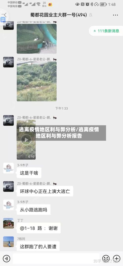 逃离疫情地区利与弊分析/逃离疫情地区利与弊分析报告-第2张图片