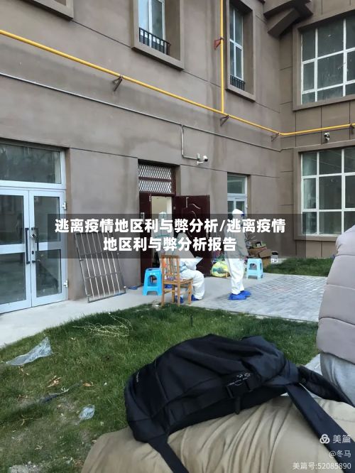 逃离疫情地区利与弊分析/逃离疫情地区利与弊分析报告