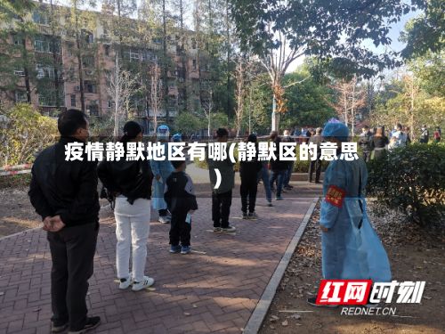 疫情静默地区有哪(静默区的意思)-第2张图片