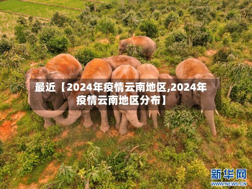 最近【2024年疫情云南地区,2024年疫情云南地区分布】-第2张图片