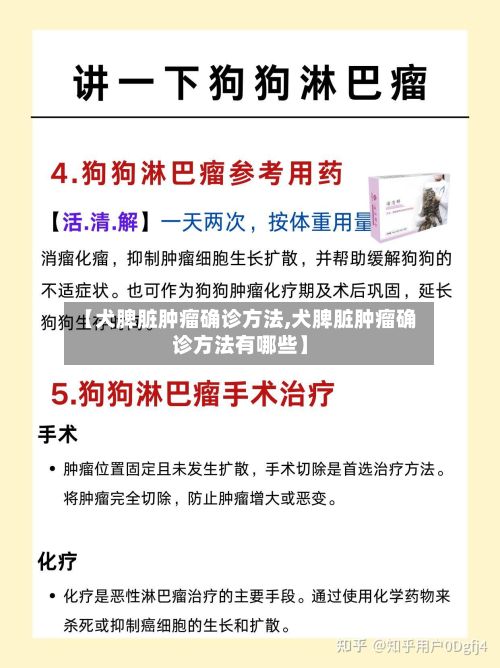 【犬脾脏肿瘤确诊方法,犬脾脏肿瘤确诊方法有哪些】-第2张图片