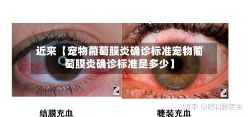 近来【宠物葡萄膜炎确诊标准宠物葡萄膜炎确诊标准是多少】