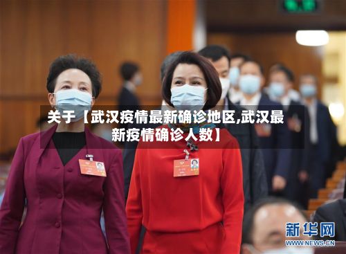 关于【武汉疫情最新确诊地区,武汉最新疫情确诊人数】-第3张图片