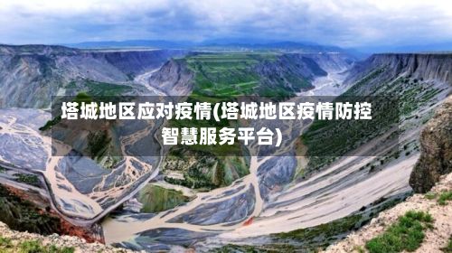 塔城地区应对疫情(塔城地区疫情防控智慧服务平台)-第1张图片
