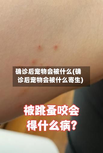 确诊后宠物会被什么(确诊后宠物会被什么寄生)