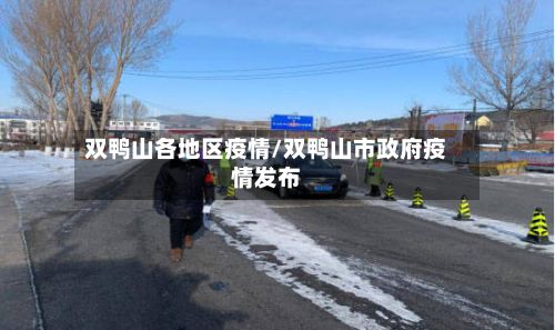 双鸭山各地区疫情/双鸭山市政府疫情发布