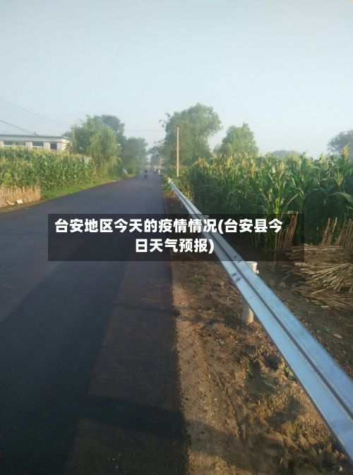 台安地区今天的疫情情况(台安县今日天气预报)