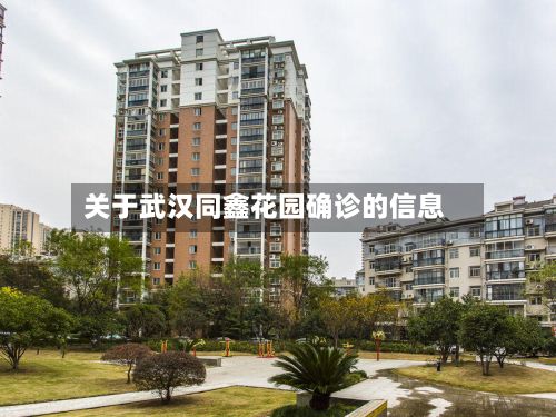 关于武汉同鑫花园确诊的信息-第3张图片