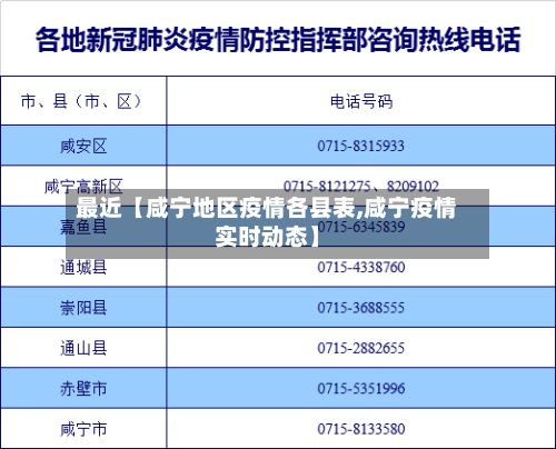 最近【咸宁地区疫情各县表,咸宁疫情实时动态】-第1张图片