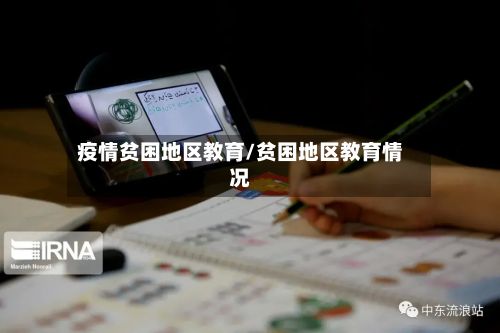 疫情贫困地区教育/贫困地区教育情况