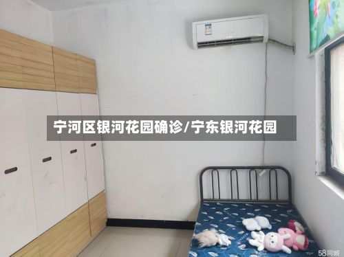 宁河区银河花园确诊/宁东银河花园-第2张图片