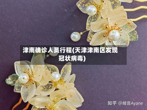 津南确诊人员行程(天津津南区发现冠状病毒)-第1张图片