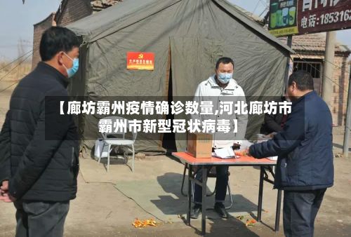 【廊坊霸州疫情确诊数量,河北廊坊市霸州市新型冠状病毒】-第3张图片