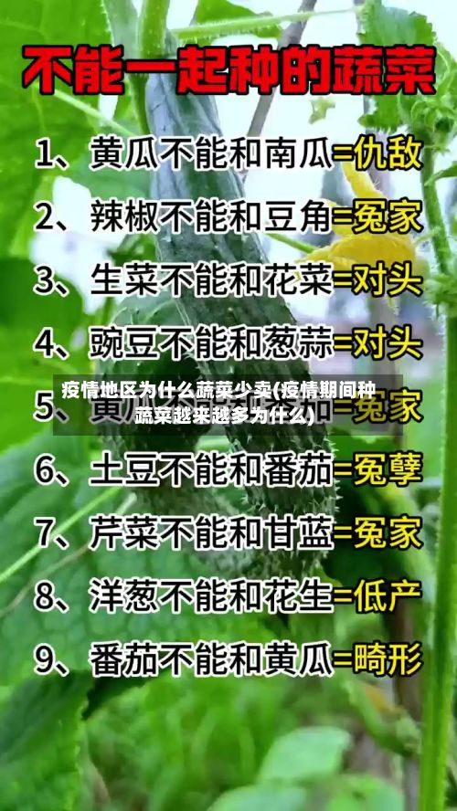 疫情地区为什么蔬菜少卖(疫情期间种蔬菜越来越多为什么)