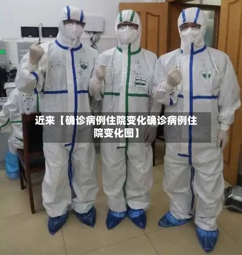 近来【确诊病例住院变化确诊病例住院变化图】-第3张图片