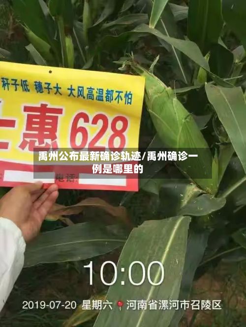 禹州公布最新确诊轨迹/禹州确诊一例是哪里的-第3张图片