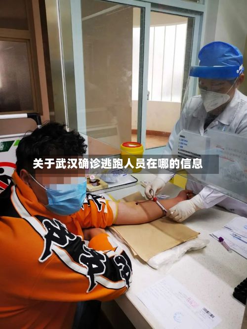 关于武汉确诊逃跑人员在哪的信息