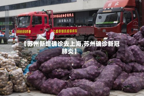 【苏州新增确诊去上海,苏州确诊新冠肺炎】
