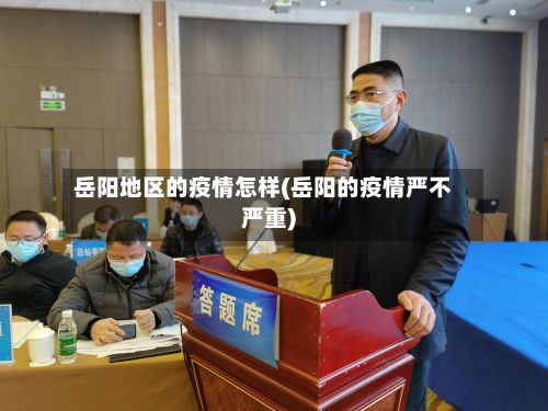 岳阳地区的疫情怎样(岳阳的疫情严不严重)-第3张图片