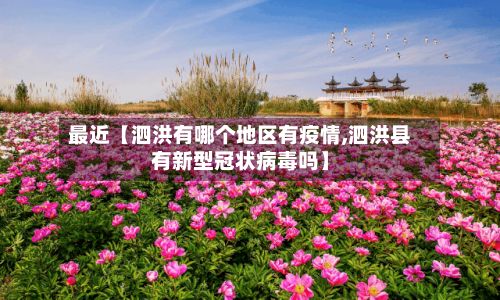 最近【泗洪有哪个地区有疫情,泗洪县有新型冠状病毒吗】-第2张图片