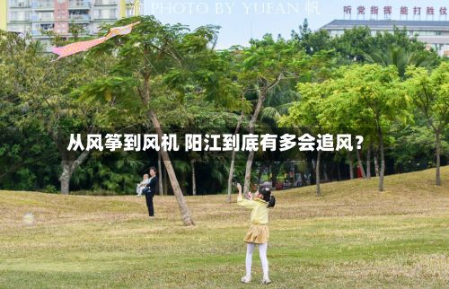 从风筝到风机 阳江到底有多会追风?-第2张图片