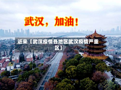 近来【武汉疫情各地区武汉疫情严重区】-第3张图片