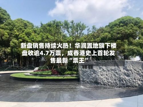 新盘销售持续火热！华润置地旗下楼盘收逾4.7万票，成香港史上首轮发售最新“票王”-第3张图片