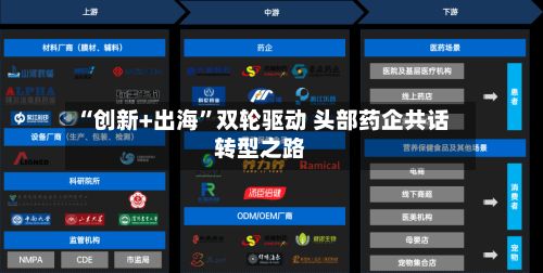 “创新+出海”双轮驱动 头部药企共话转型之路-第2张图片