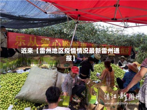 近来【雷州地区疫情情况最新雷州通报】-第3张图片