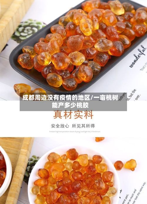 成都周边没有疫情的地区/一亩桃树能产多少桃胶